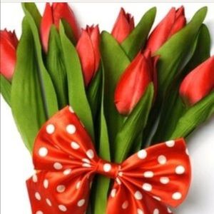 Gorgeous beautiful red tulip